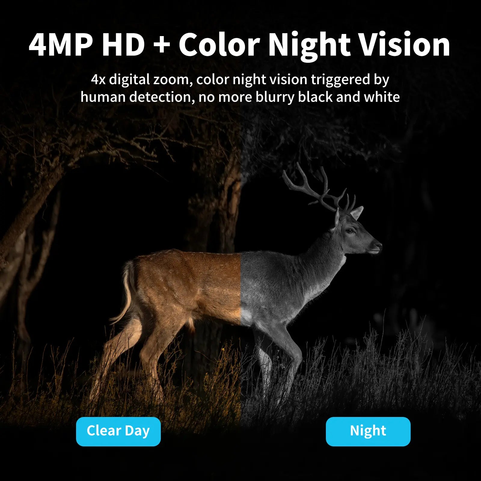 Solar Powered 4G Security Camera CB174S, 2K HD Color Night Vision, No Wifi Outdoor Camera for Farm/Home with IP65 Waterproof, Data Service Supported